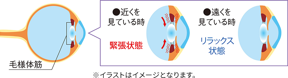 スマホを見ることで目が疲れる理由